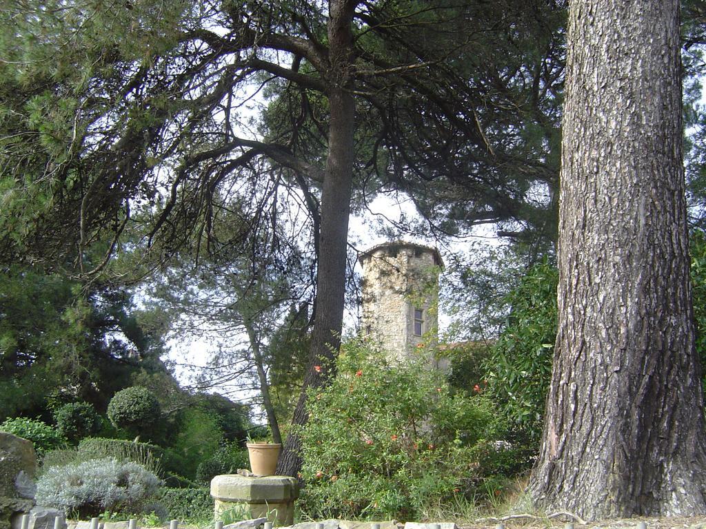 Château d'Agel chambres d'hôtes Extérieur photo